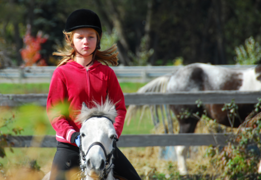 Obozy jeździeckie – doskonała propozycja dla dzieci w różnym wieku